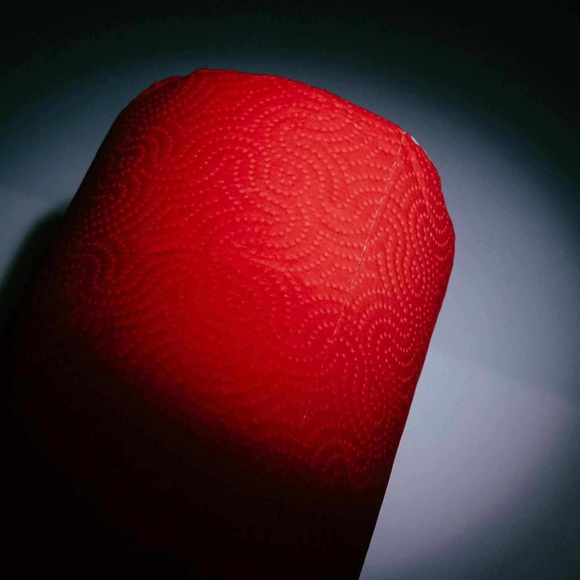 Renova RED papierowy ręcznik 1 rolka